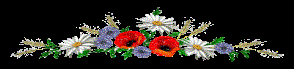 http://os1.i.ua/3/1/9483332_191d174d.gif